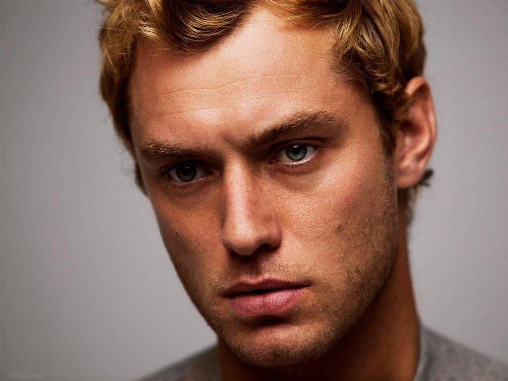 1024x768 Jude Law HD 42183 1024x768px
