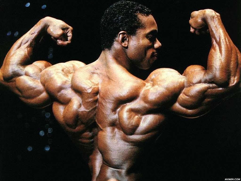 1024x768 Best U Sim_bee Image On Pholder. Bodybuilding, Animemes And Anime