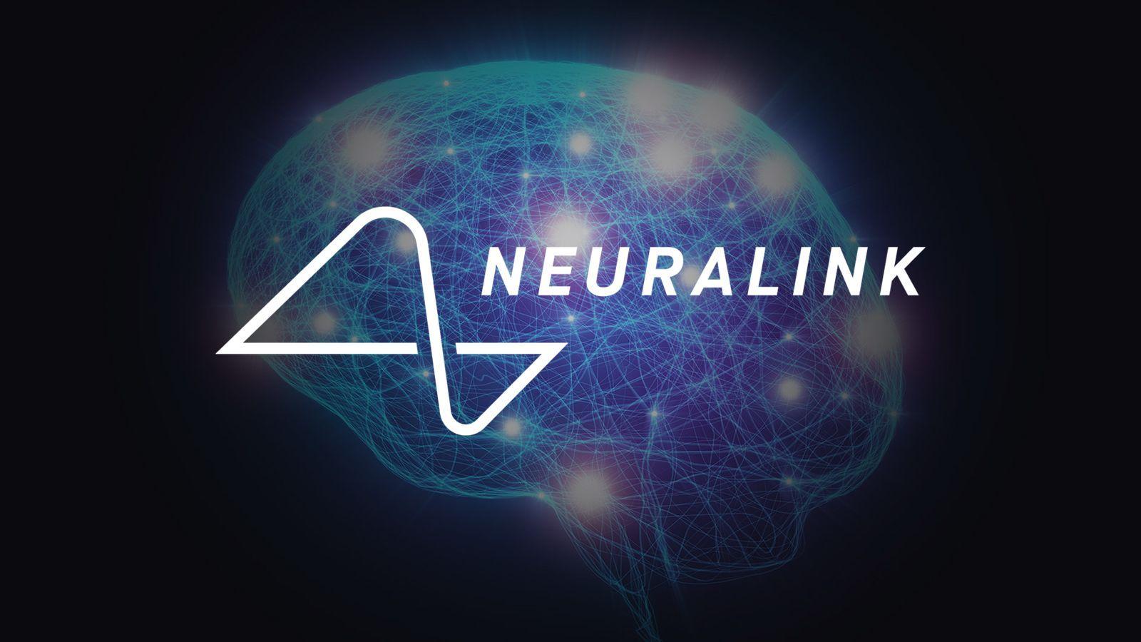 Neuralink Wallpapers Top Free Neuralink Backgrounds WallpaperAccess