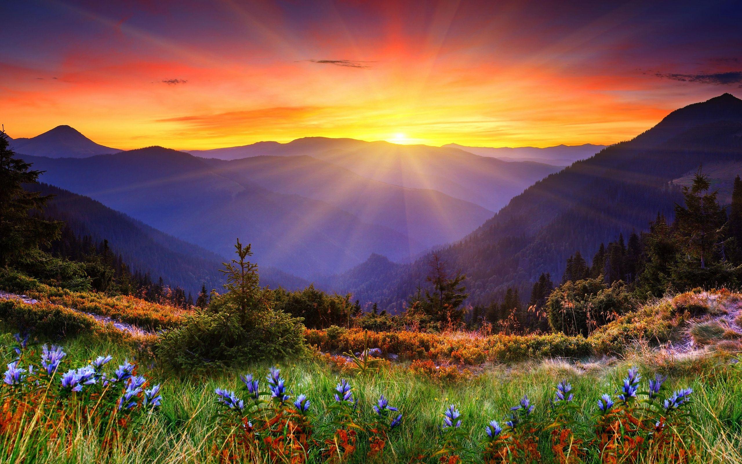 2560x1600 High Quality Amazing Scenic Wallpaper. Full HD Picture