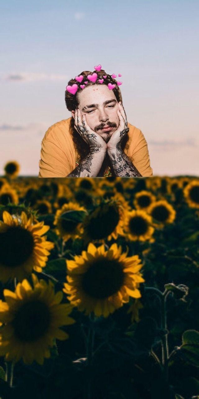 640x1280 Free wallpaper