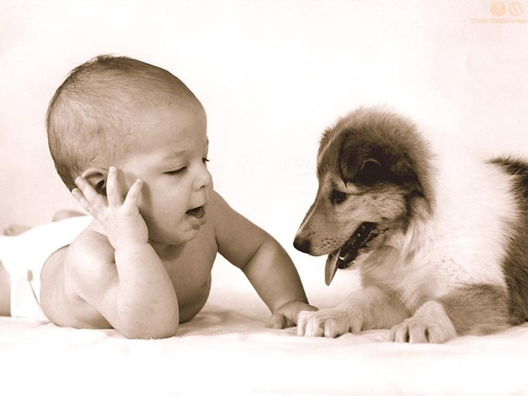 2048x1536 Desktop cute baby dogs wallpaper