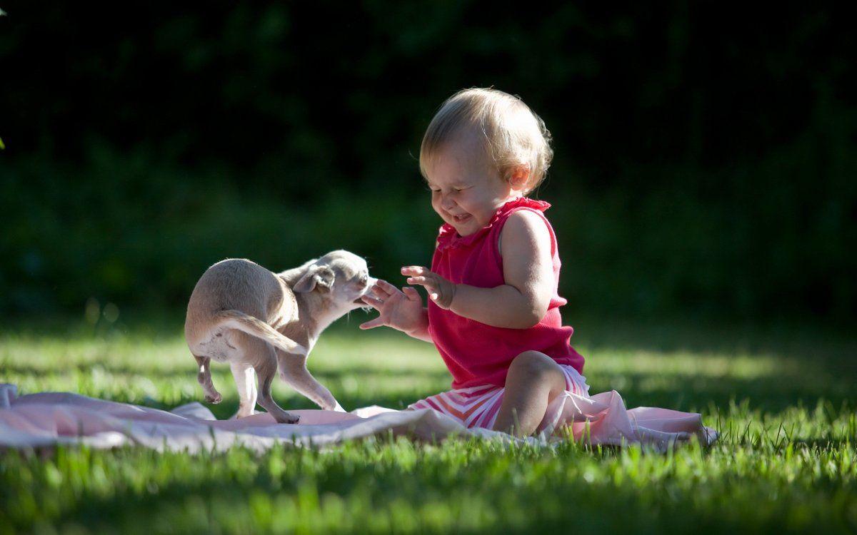 1200x750 Dog lovers - #Baby image with dog wallpaper. baby cute girl HD wallpaper