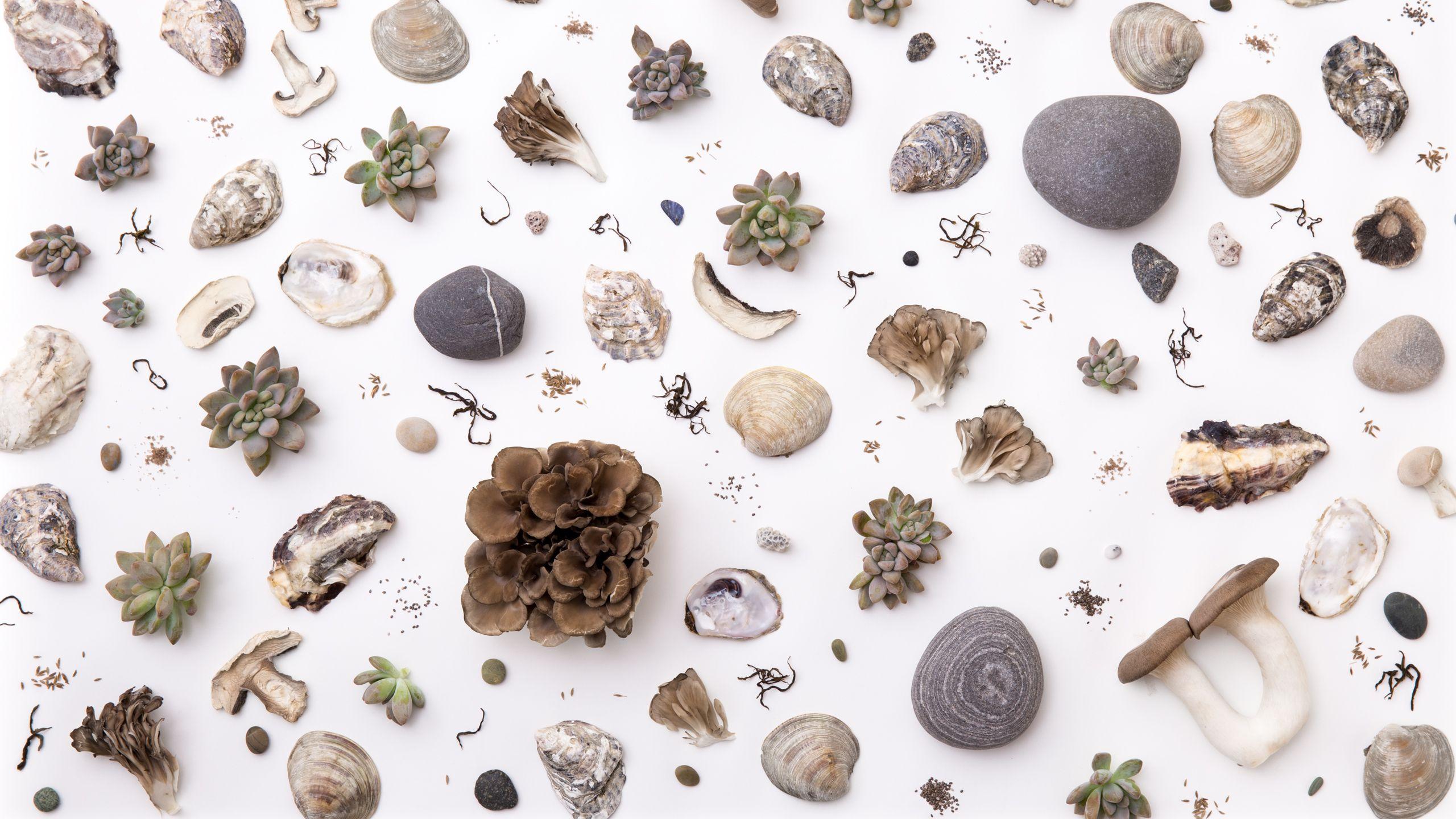 2560x1440 Aesthetic HD Background For Mac 4 Wallpaper