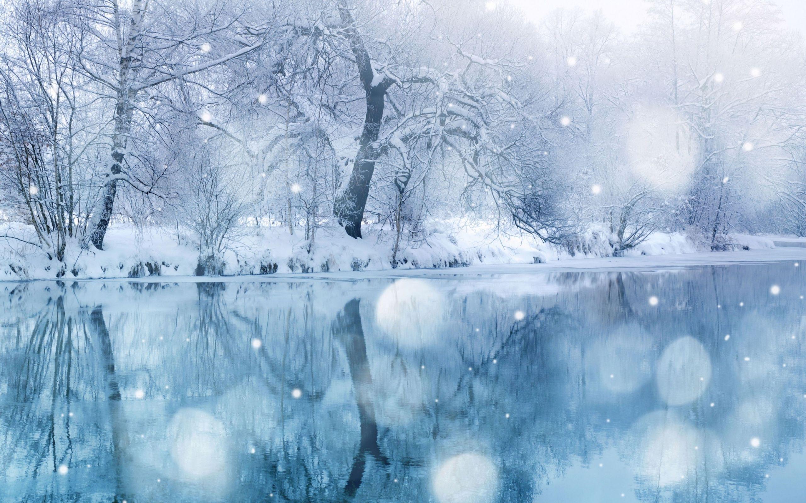 2560x1600 Best Winter Mac Wallpaper Free HD Download