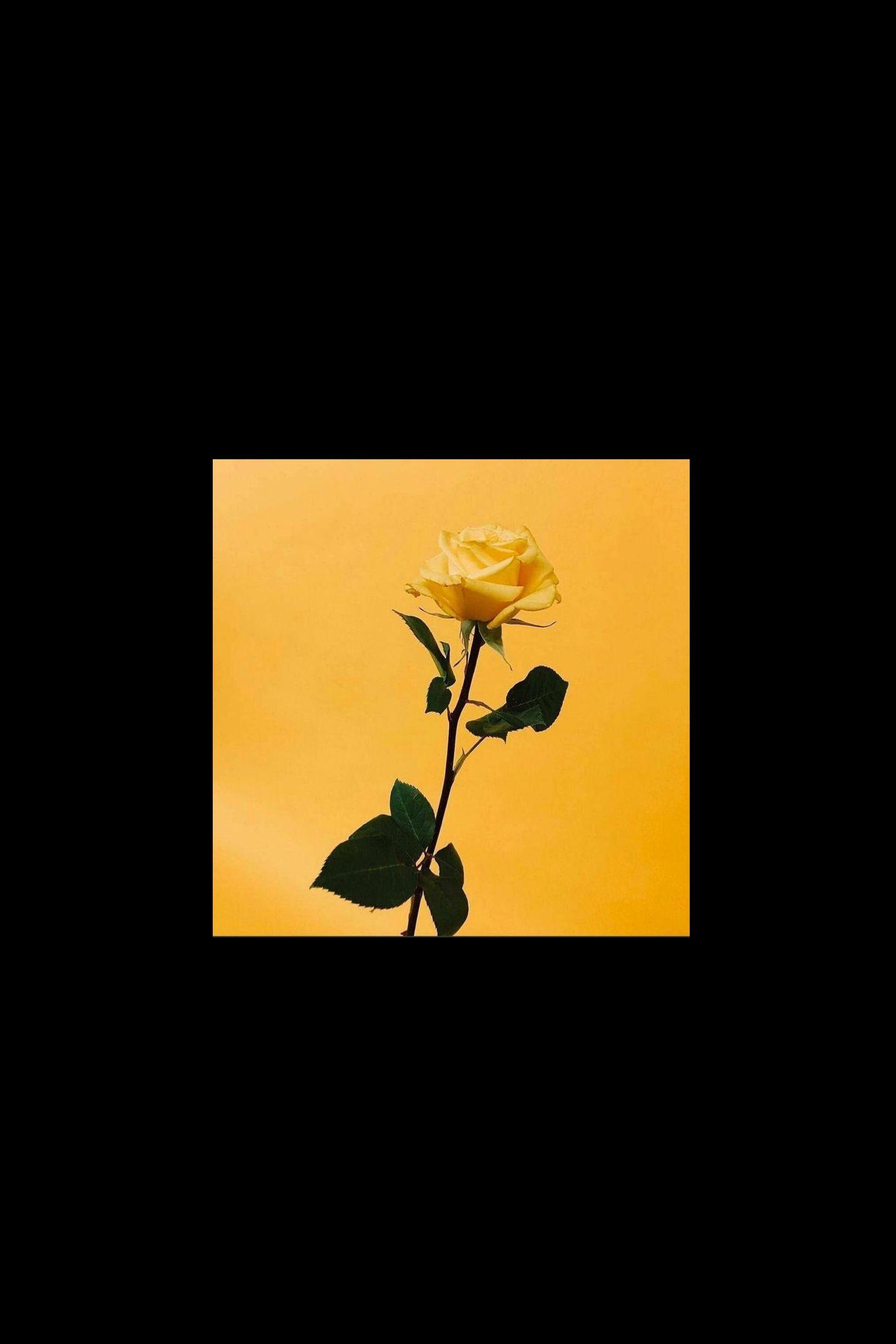 1360x2040 Aesthetic Wallpaper • Aesthetic mac wallpaper HD • Wallpaper For You The Best Wallpaper For Desktop & Mobile