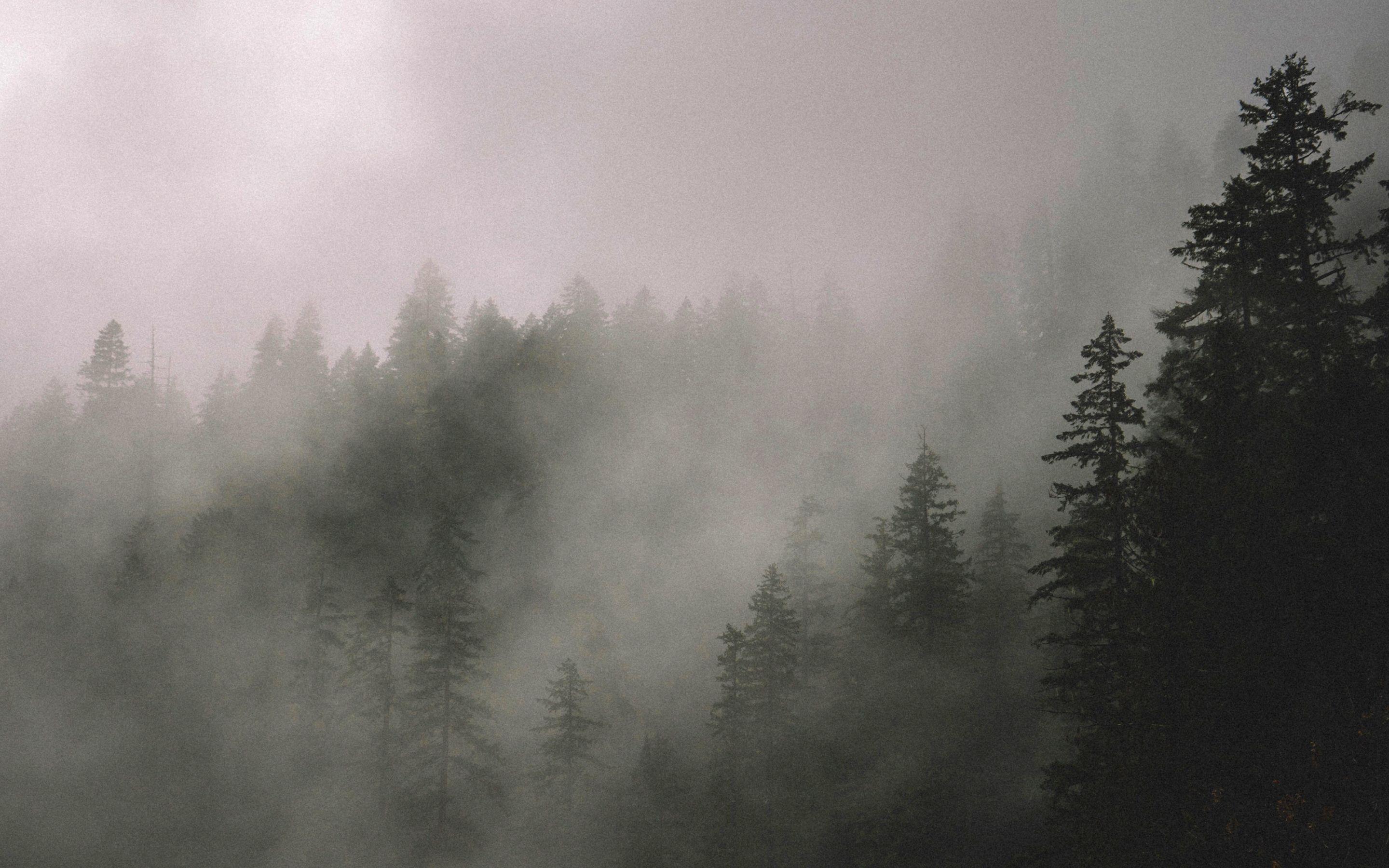 Nomad Wallpapers - Top Free Nomad Backgrounds - WallpaperAccess