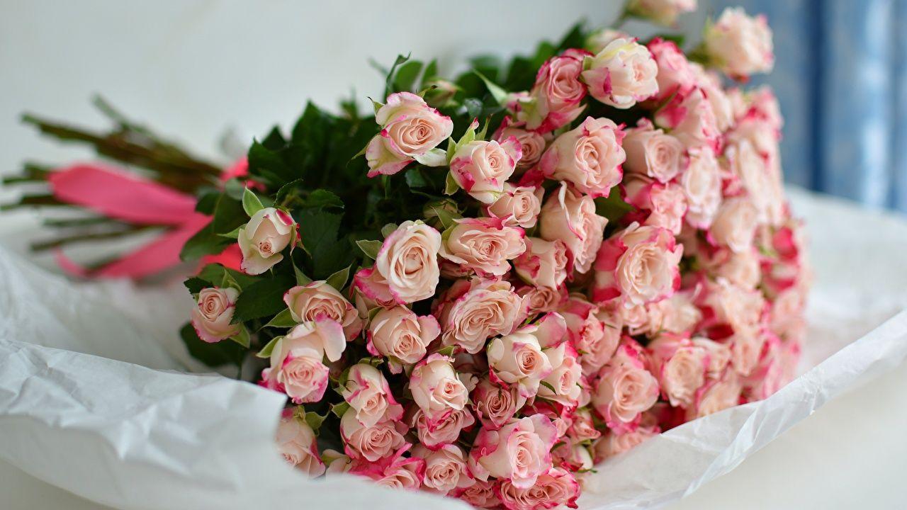 1280x720 Desktop Wallpaper Bouquets rose Pink color flower