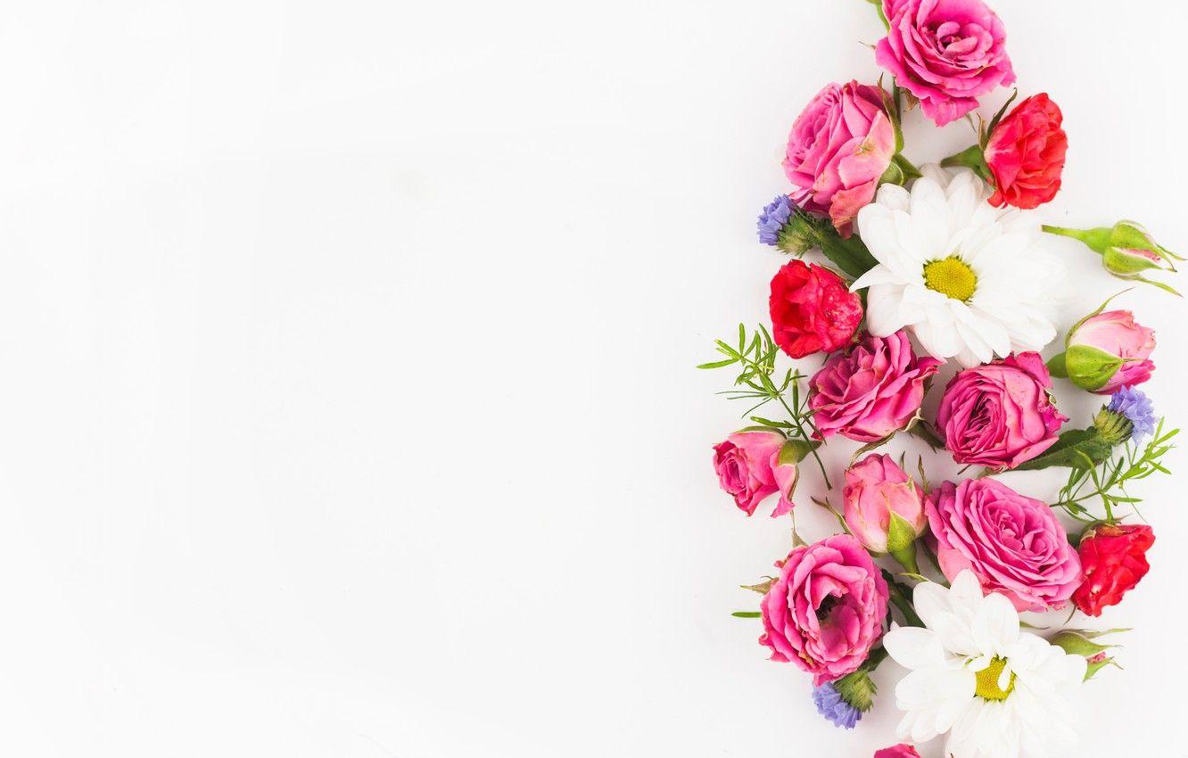 1332x850 Wallpaper white, flowers, background, roses, bouquet, flowers image for desktop, section цветы