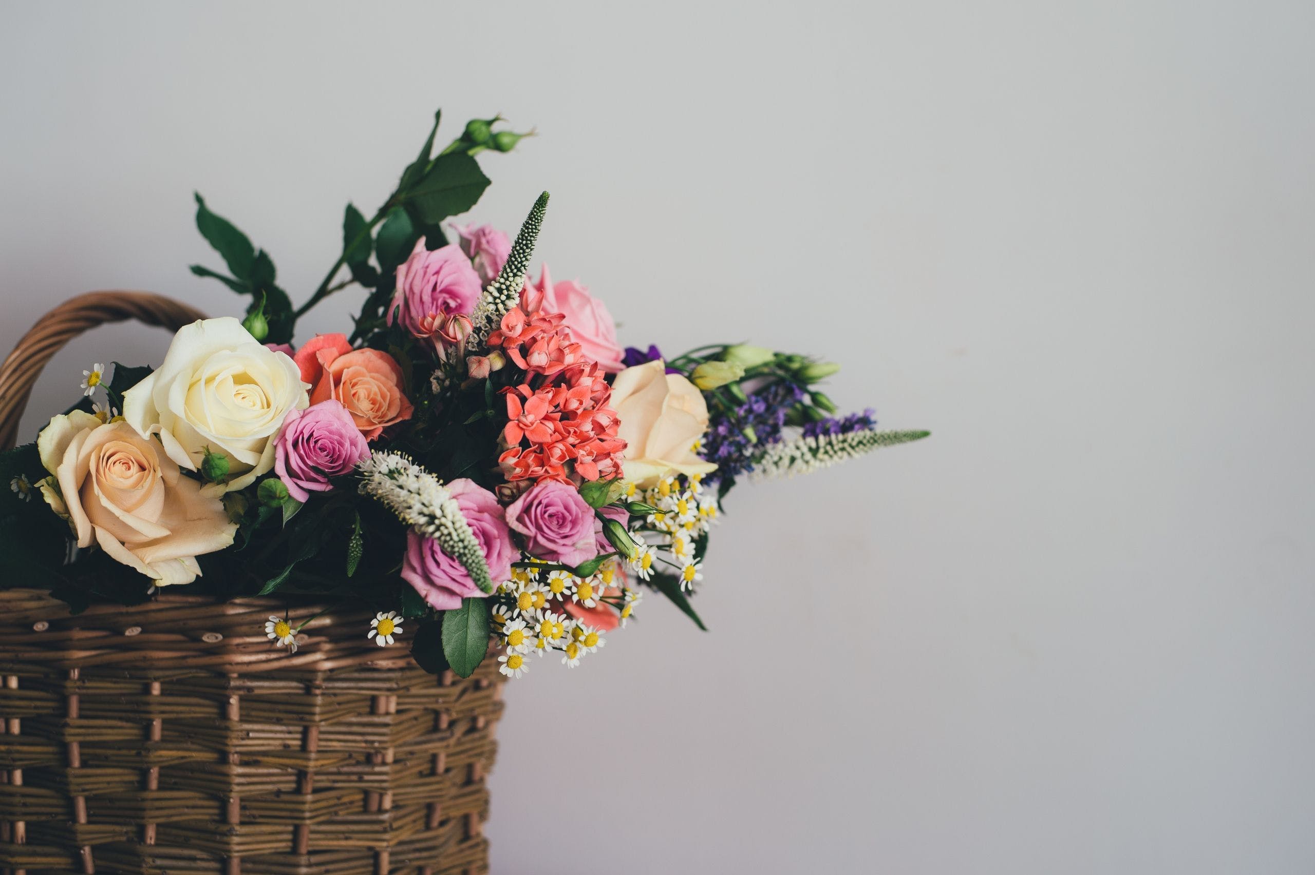 2560x1705 Bouquet Background. HD Wallpaper Background