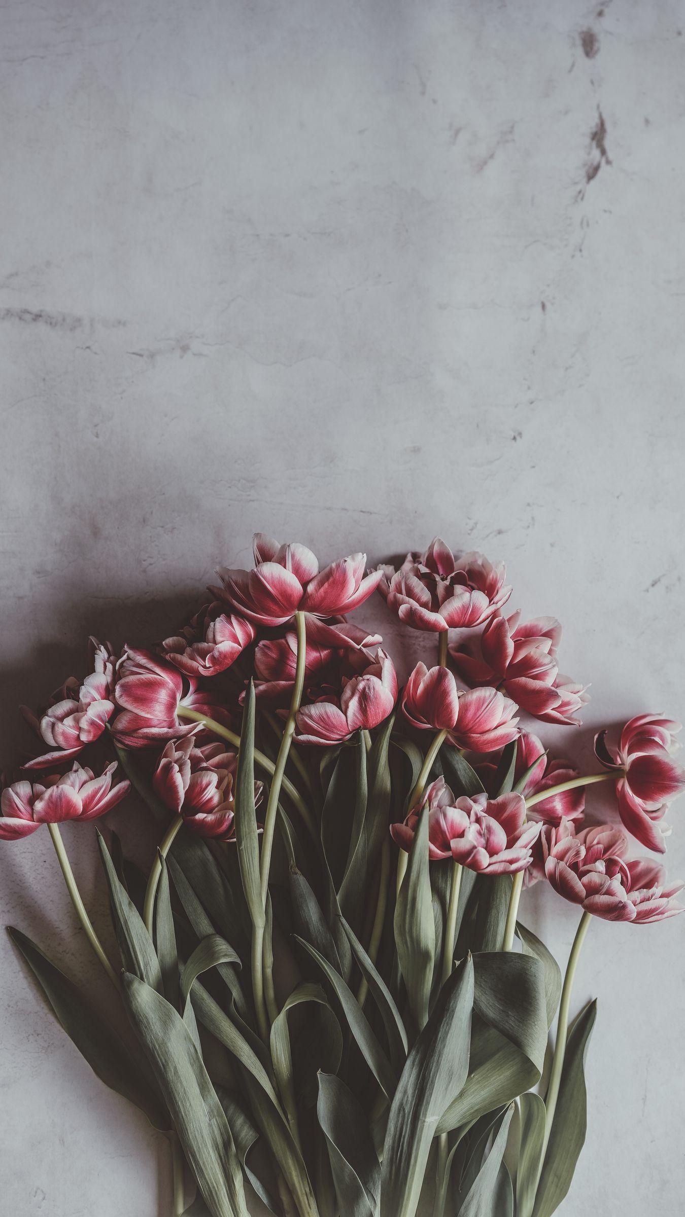 1350x2400 Download wallpaper 1350x2400 tulips, bouquet, flowers, buds, stems iphone 8+/7+/6s+/for parallax HD background
