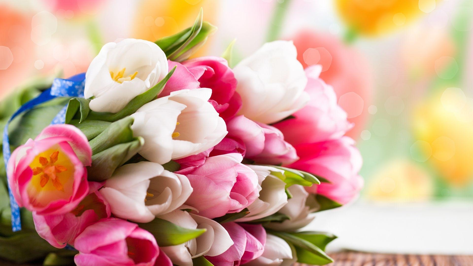 1920x1080 Download Tulip, flower bouquet, flowers, colorful HD 1080p wallpaper 1920x1080