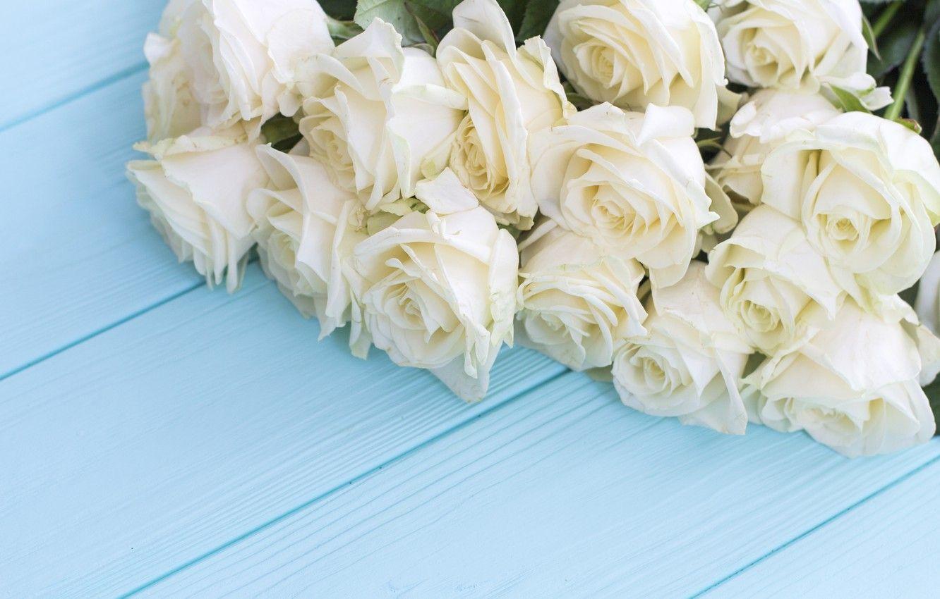 1332x850 Wallpaper flowers, roses, bouquet, white, white, buds, wood, flowers, roses image for desktop, section цветы