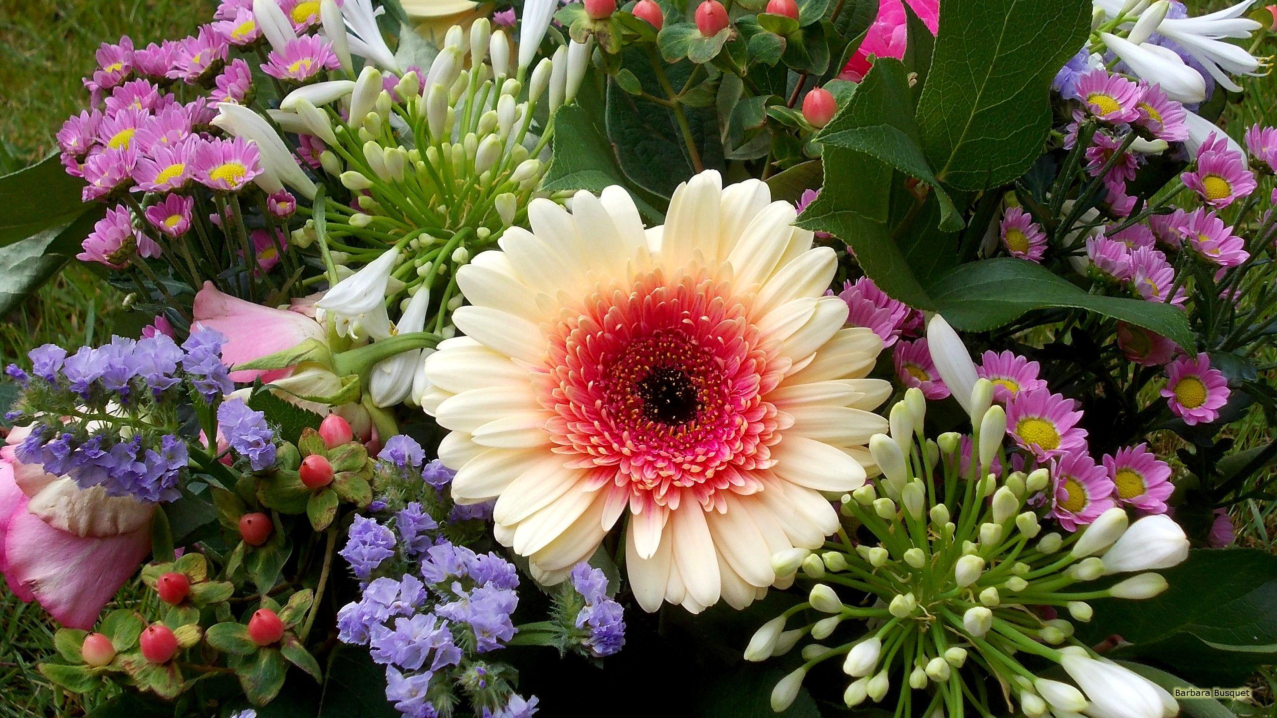 2560x1440 Flowers Bouquet Wallpaper