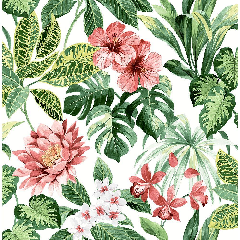 1000x1000 Brewster Home Fashions Josefa Green Tropical Wallpaper. The Home Depot Canada