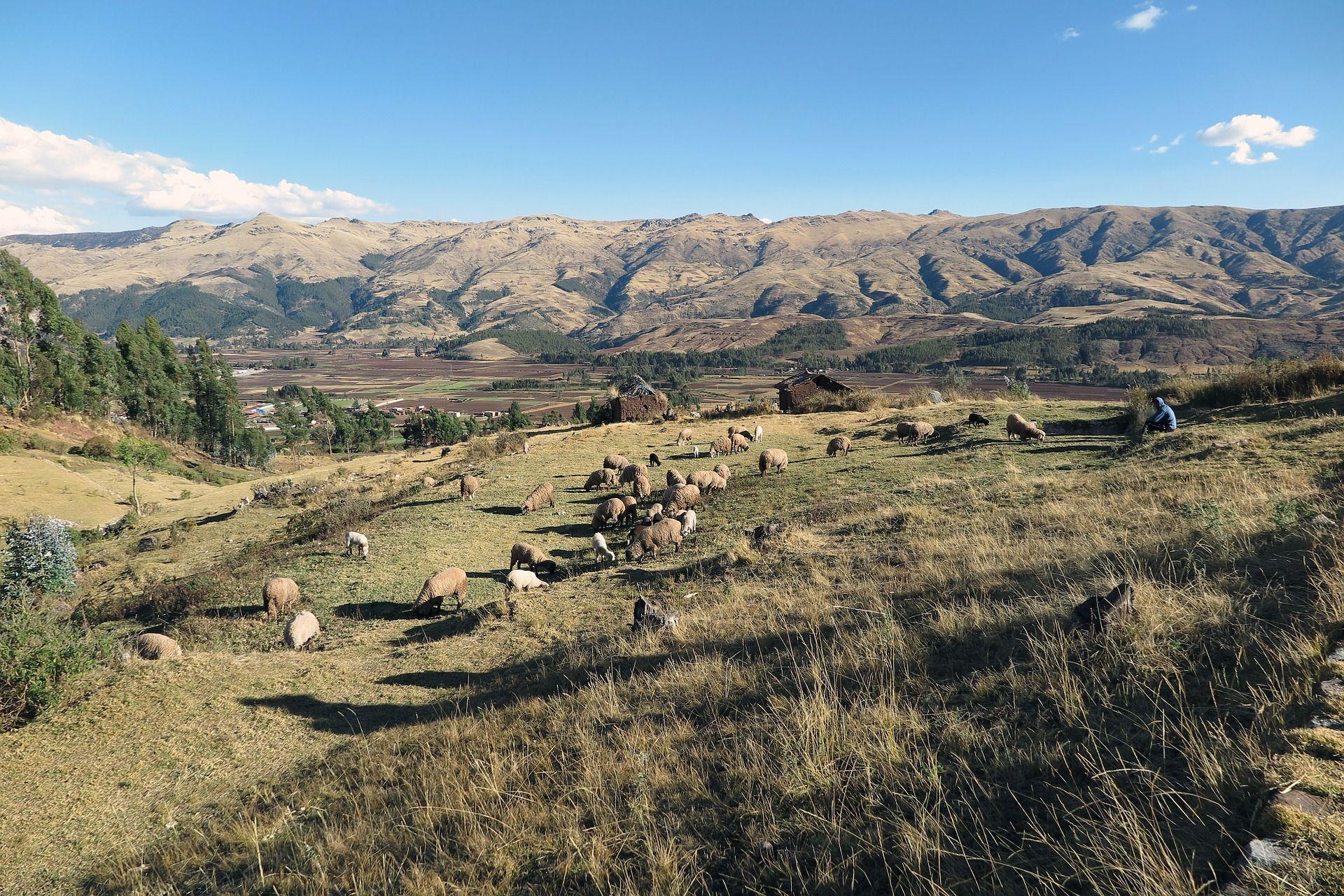 1920x1281 Sacred Valley, Cusco, Peru, Culture & Cuisine of Peru, flexible dates, 13 days. Vacation trips, Travel, Travel sites