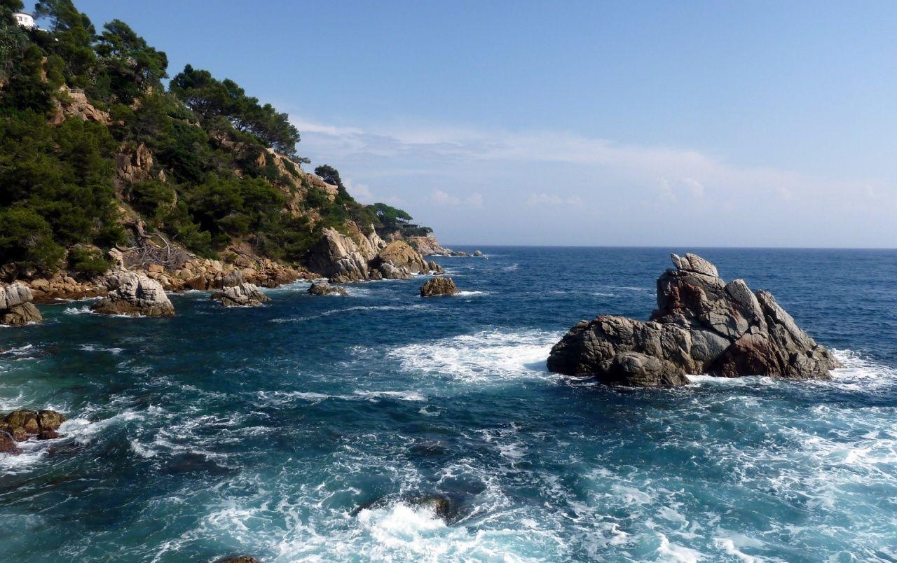 1280x804 Amazing Ocean Cliff Trees Rock wallpaper. Beautiful nature wallpaper, Seaside wallpaper, Nature wallpaper