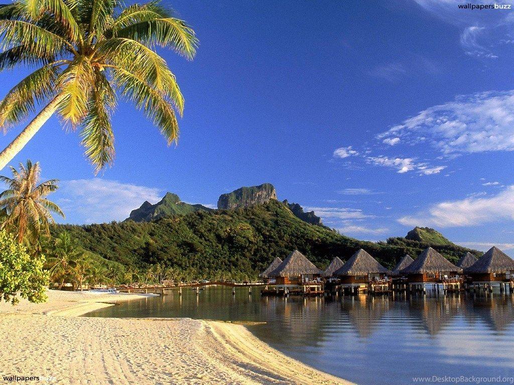 1024x768 Houses In The Seaside HD Wallpaper Desktop Background