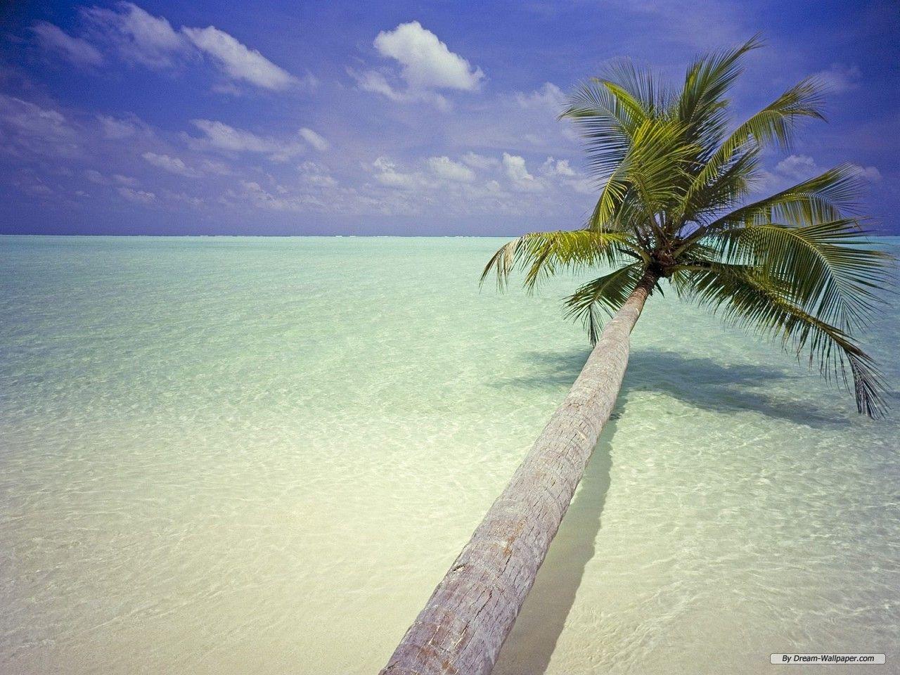 1280x960 Free Wallpaper Nature wallpaper Landscape 2 wallpaper