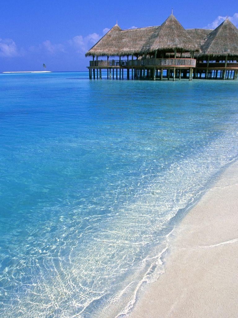 768x1024 Free download Seaside beach wallpaper iPad Background Best iPad Wallpaper [1024x1024] for your Desktop, Mobile & Tablet. Explore Seaside Wallpaper. Tropical Beach Wallpaper, Seaside Wallpaper Border, Seaside Wallpaper for Walls