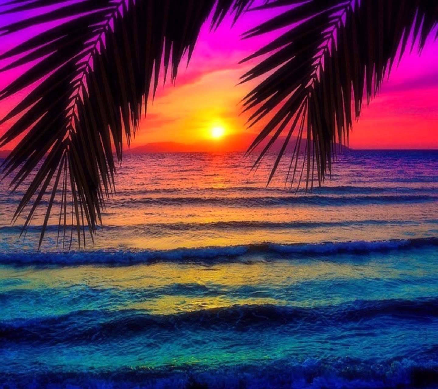 1440x1280 Seaside Sunset wallpaper