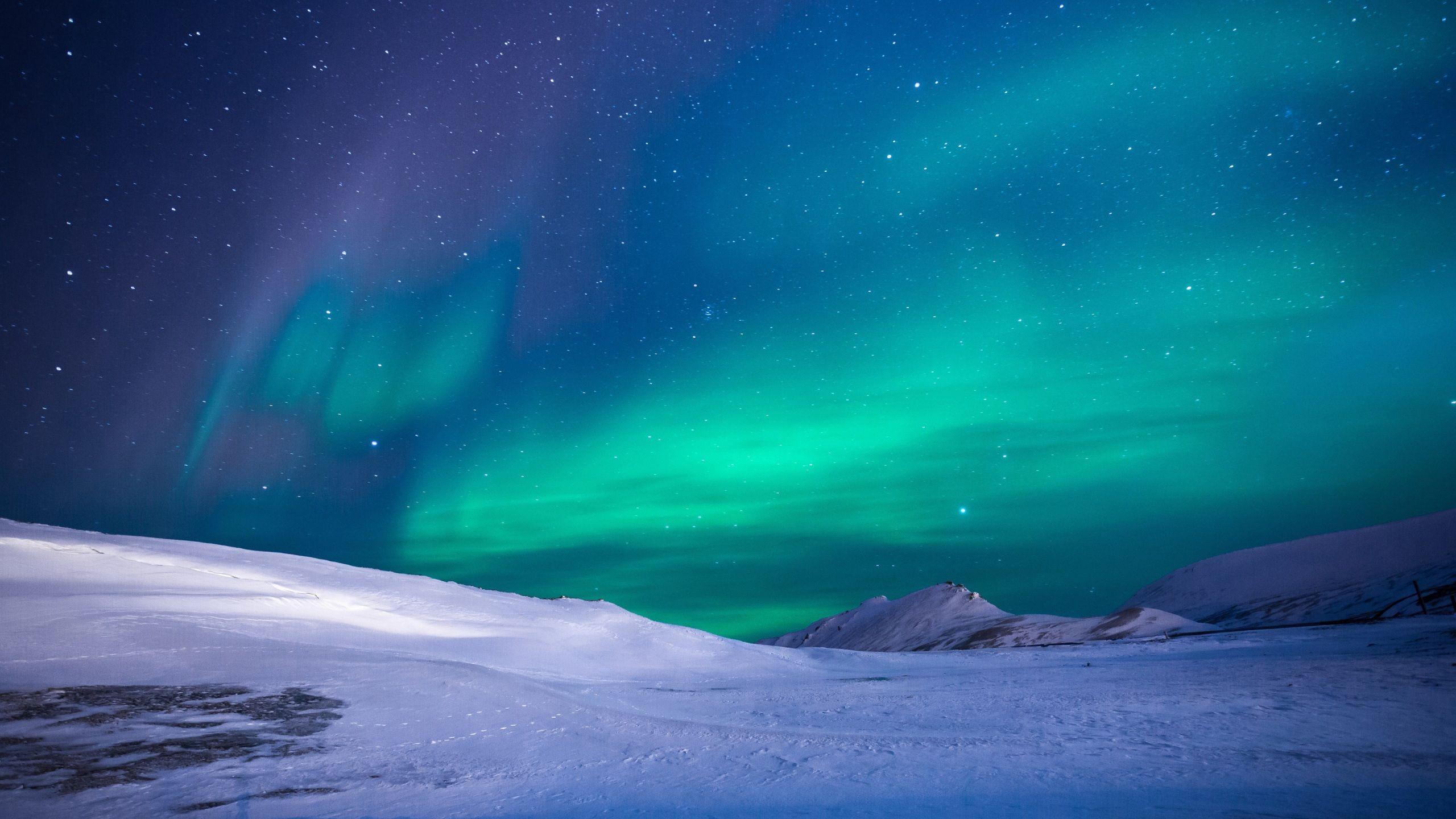 2560x1440 Wallpaper 4k Aurora Northen Lights 4k 4k Wallpaper, 5k Wallpaper, Aurora Wallpaper, Hd Wallpaper, Nature Wallpaper, Northern Lights Wallpaper