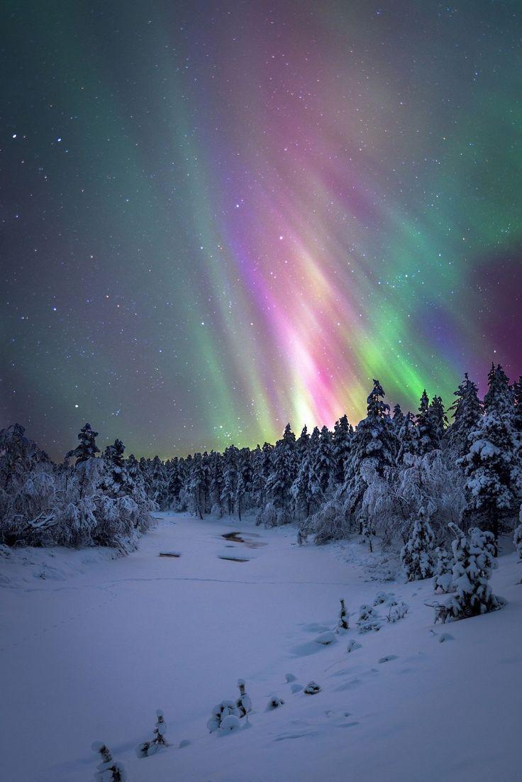 736x1102 Northern lights. Winter scenery, Winter landscape, Winter wonder