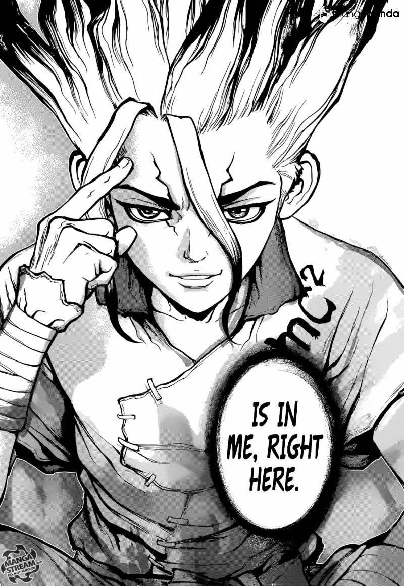 800x1159 Dr. Stone