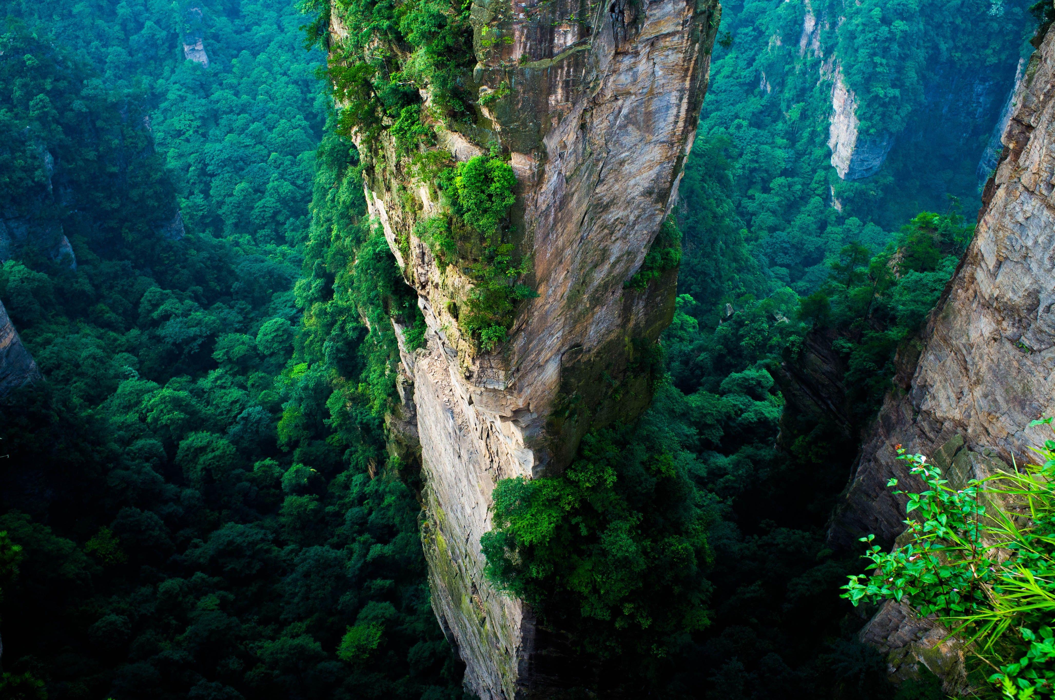 4112x2731 forest, China, Cliff, Mountain, Green, Summer, National Park, Nature