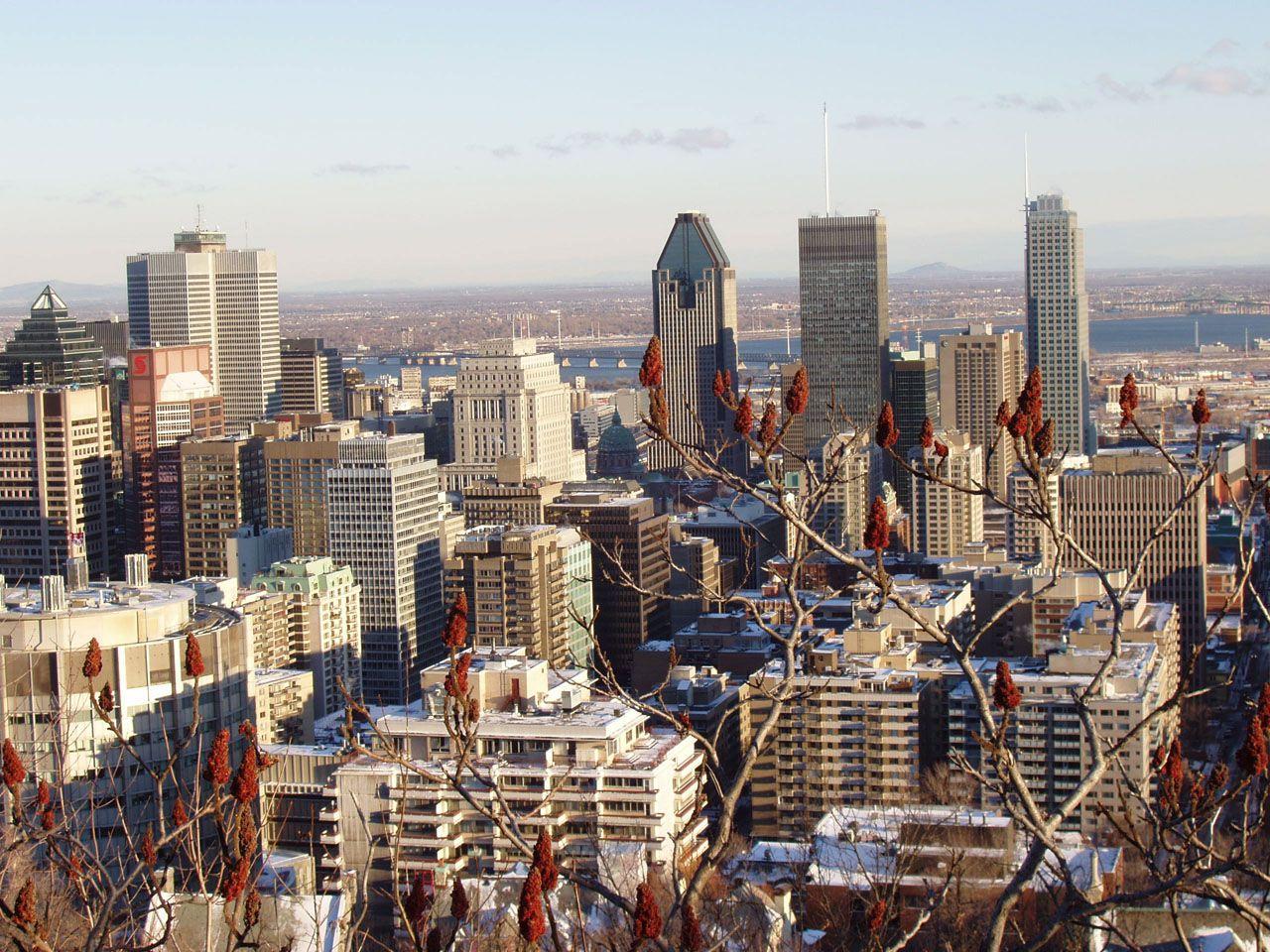 1280x960 Free download Montreal architecture buildings cityscapes wallpaper HQ WALLPAPER [1280x960] for your Desktop, Mobile & Tablet. Explore Wallpaper Montreal. Montreal Canadiens Wallpaper, Empire Wallpaper, Crown Wallpaper Montreal