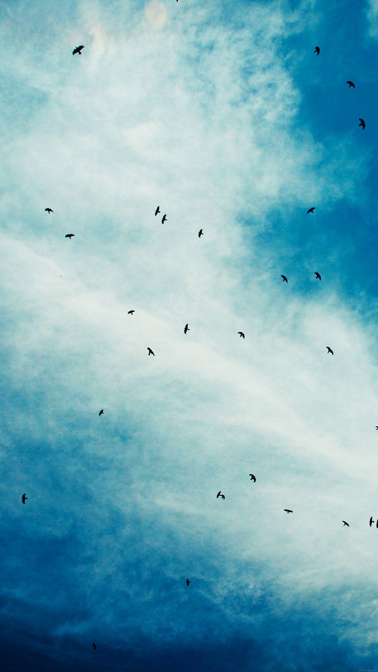 1242x2208 iPhoneXpapers birds sky animal nature