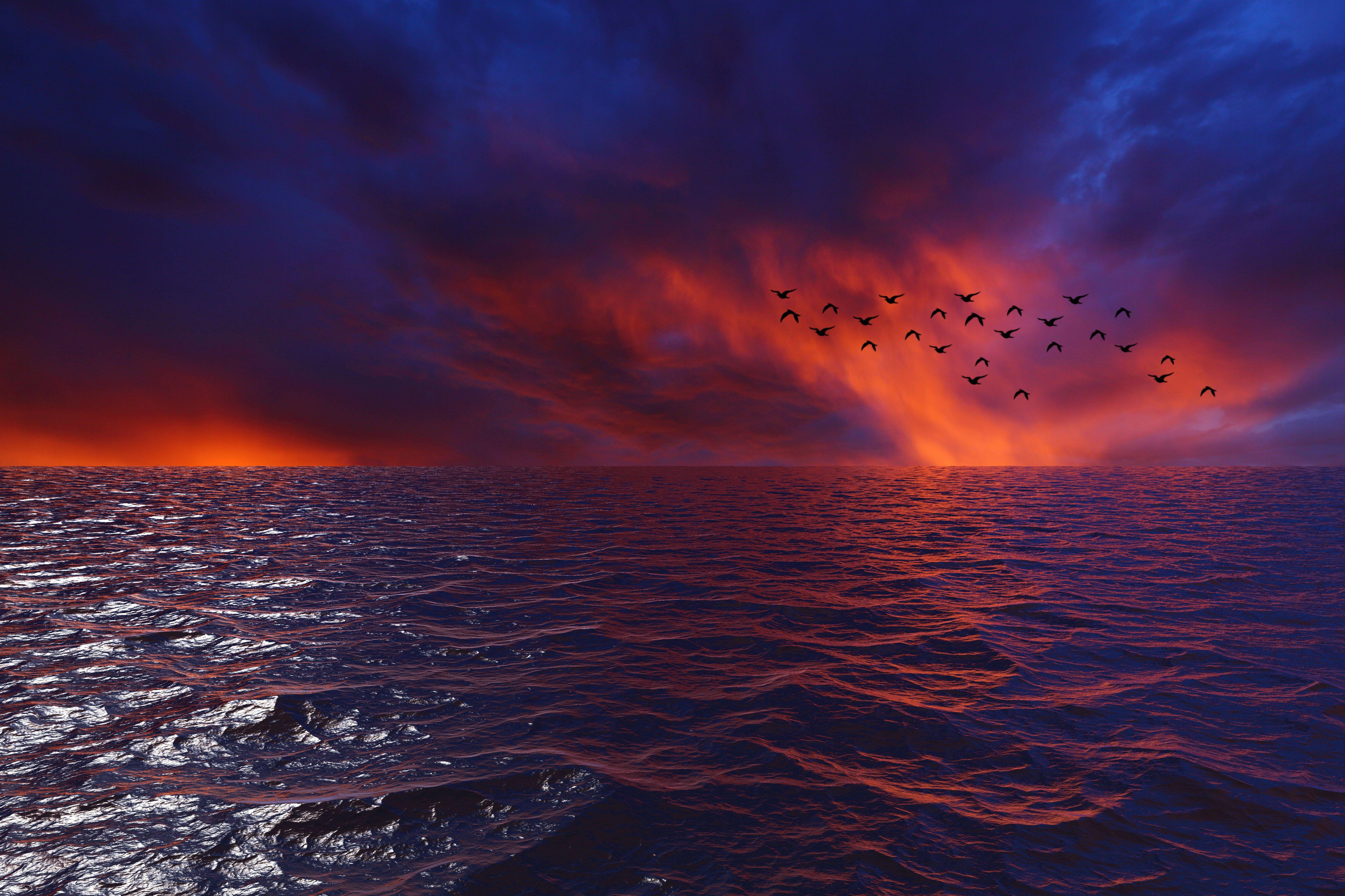 6000x4000 Waves Sky Birds 4k, HD Nature, 4k Wallpaper, Image, Background, Photo and Picture