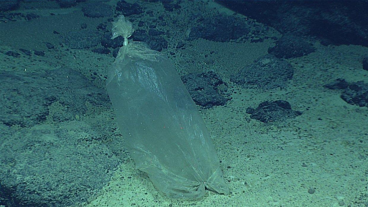 1240x698 Even the ocean's deepest reaches are not safe from plastic trash