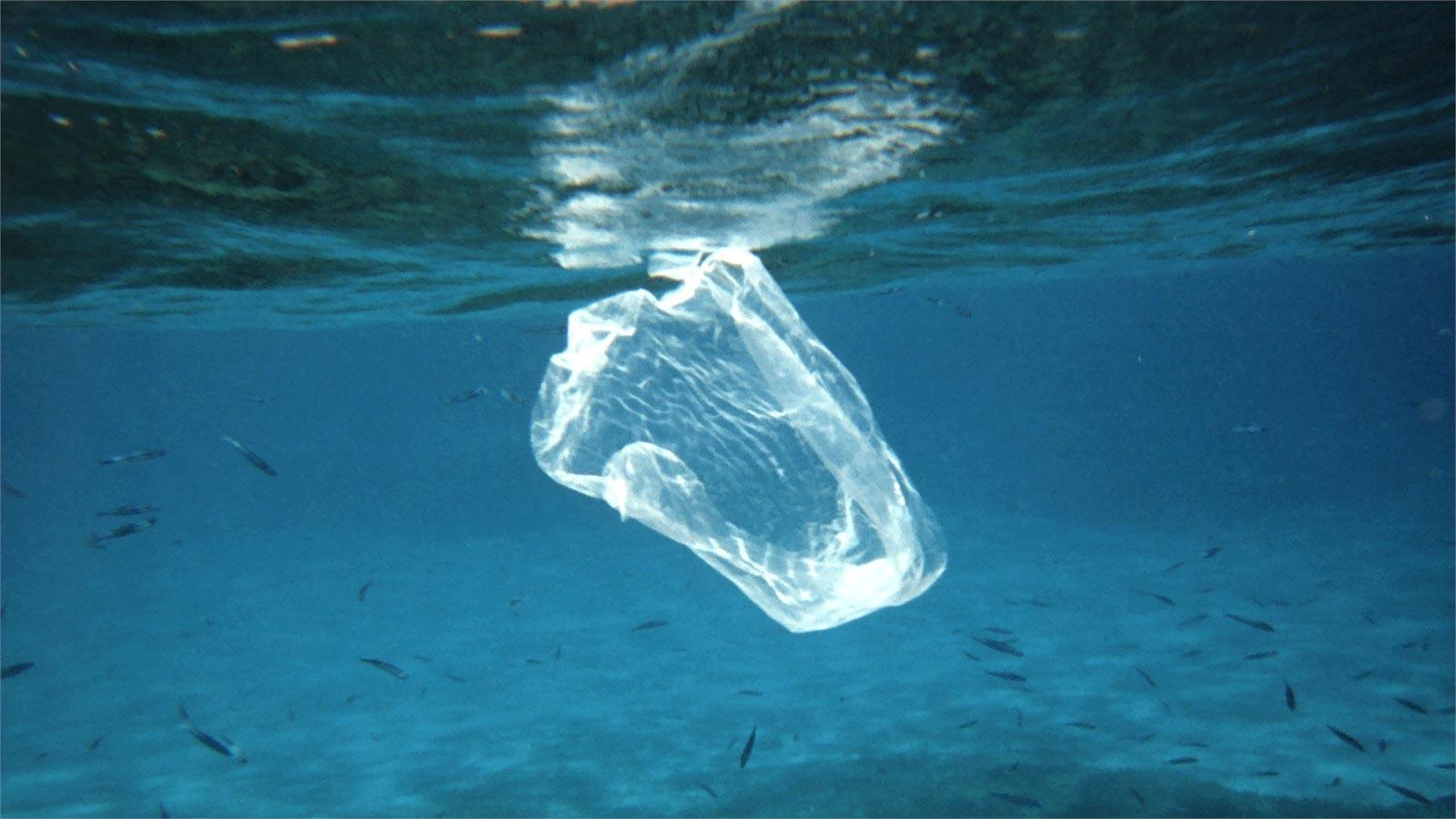 1600x900 Mariana Trench Sets Record For World's Deepest Plastic Bag At 898m
