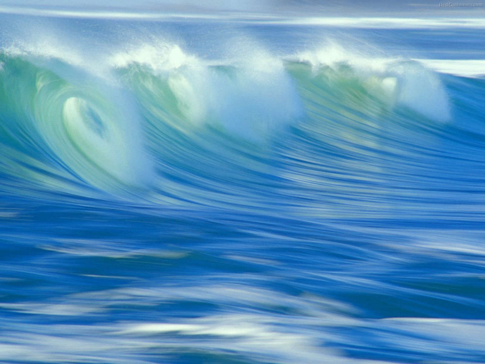 1600x1200 Mariana Trench Research Paper