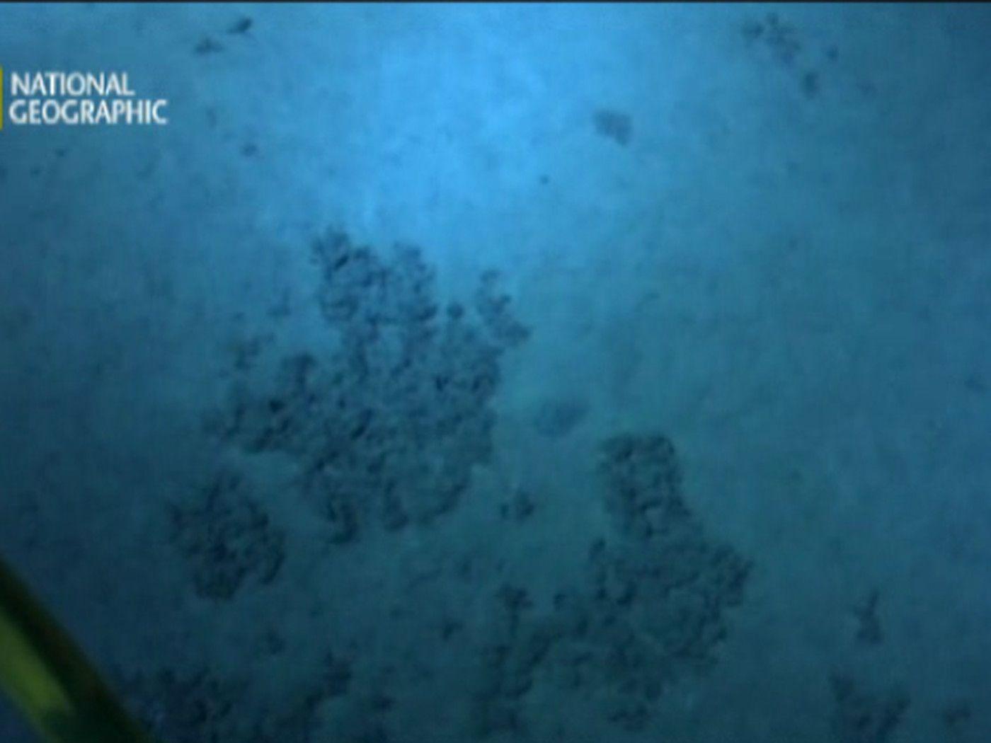 1400x1050 First video of James Cameron's dive to the 'desolate' Mariana Trench