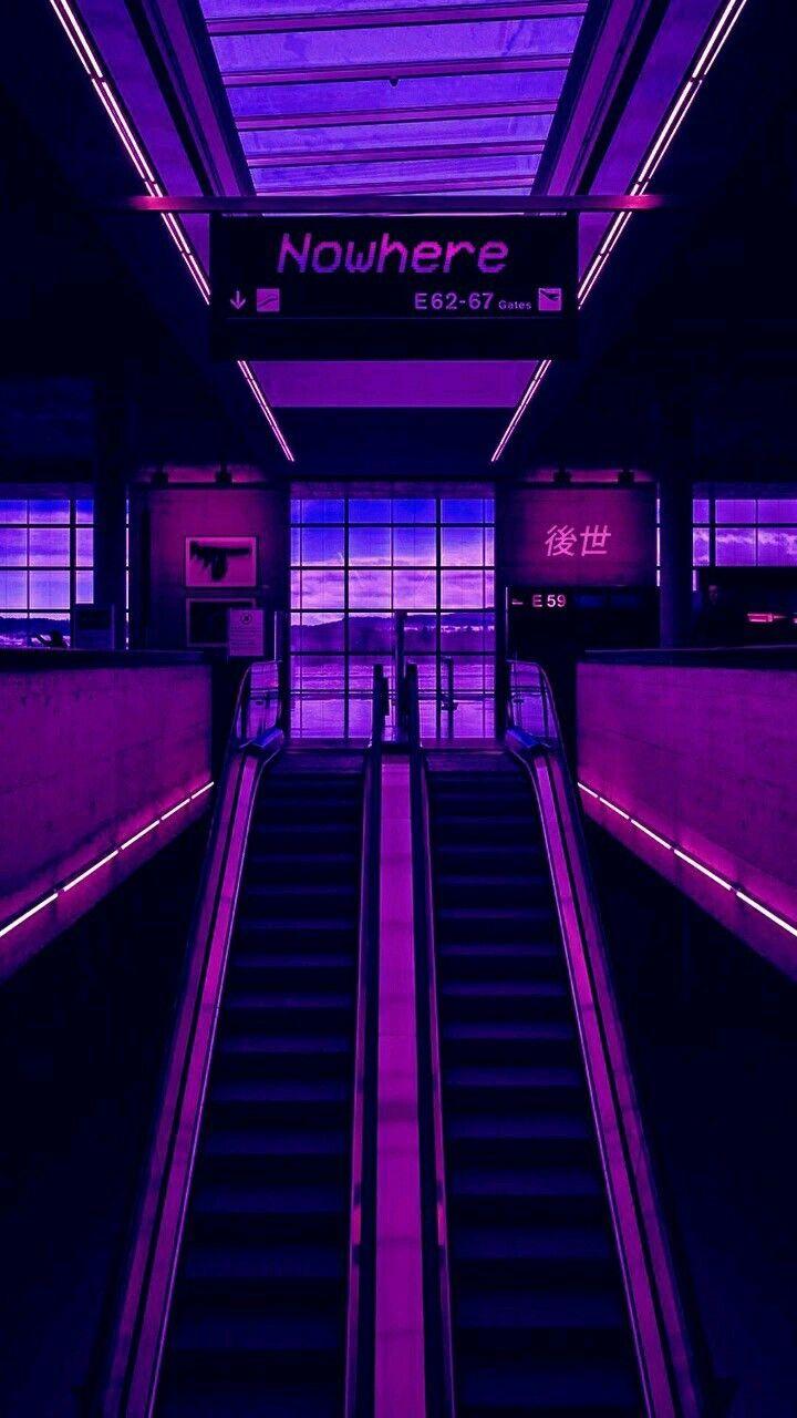 750 Purple Aesthetic Pictures  Download Free Images on Unsplash