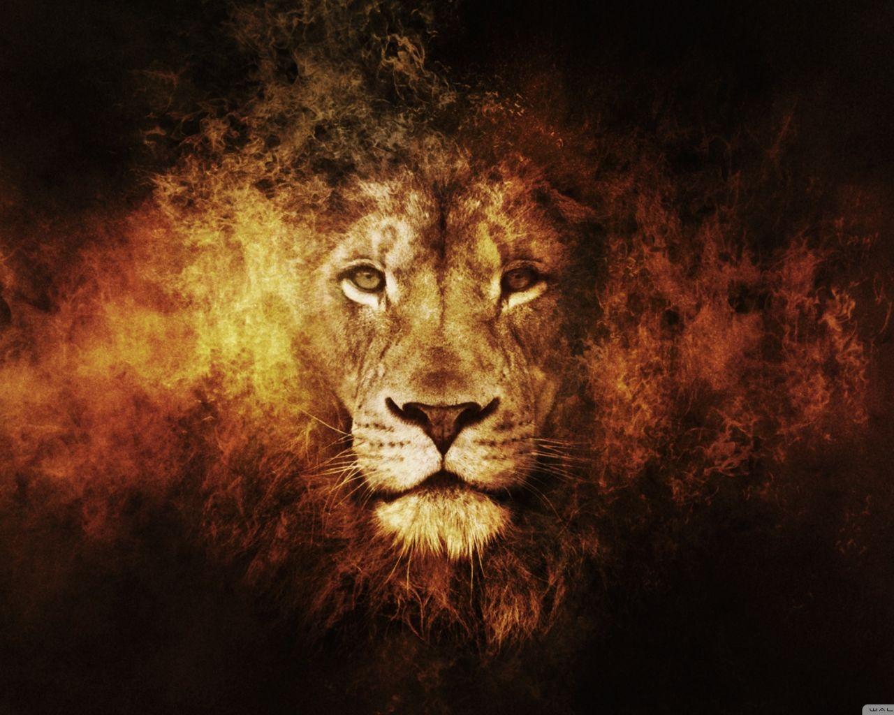 1280x1024 Tải xuống miễn phí Hình nền máy tính Lion 4K HD cho Máy tính bảng TV 4K Ultra HD [2880x1800] cho Máy tính để bàn, Di động & Máy tính bảng của bạn.  Khám phá Hình nền máy tính Lion.  Sư tử trắng Hình nền Máy tính để bàn, Núi