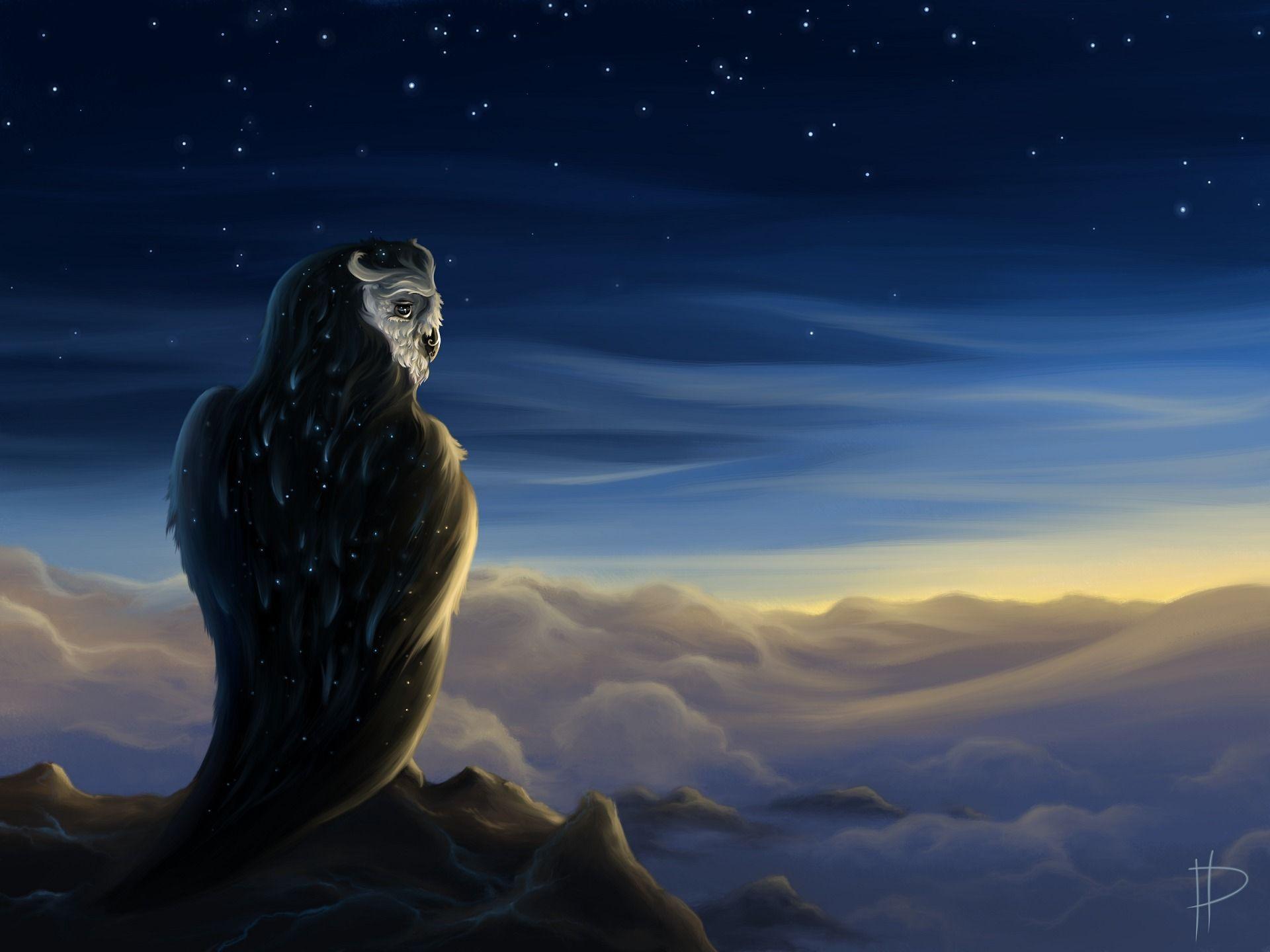 1920x1440 Desktop Wallpaper owl bird Fantasy Sky Magical animals