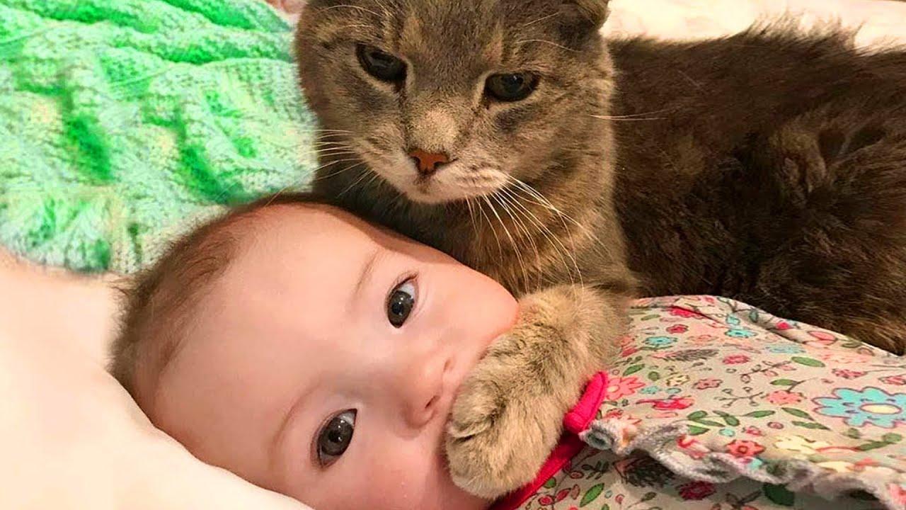 1280x720 Baby and Cat Fun and Fails Baby Video