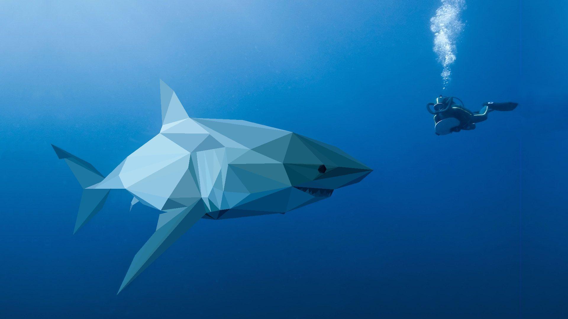 Minimalist Shark Wallpapers - Top Free Minimalist Shark Backgrounds