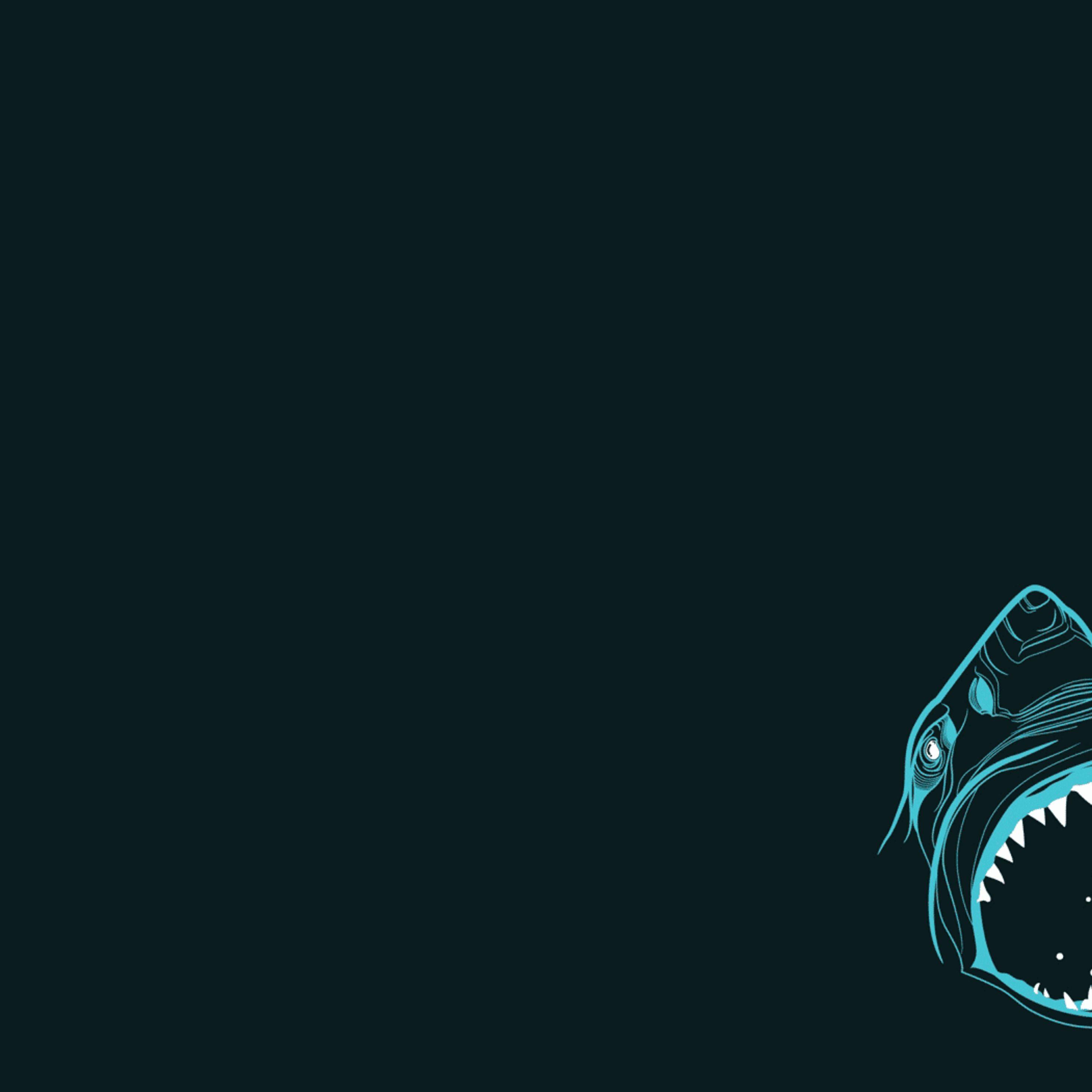 Minimalist Shark Wallpapers - Top Free Minimalist Shark Backgrounds