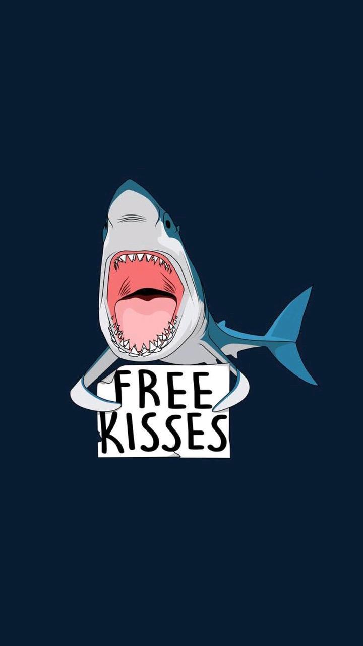 Minimalist Shark Wallpapers - Top Free Minimalist Shark Backgrounds