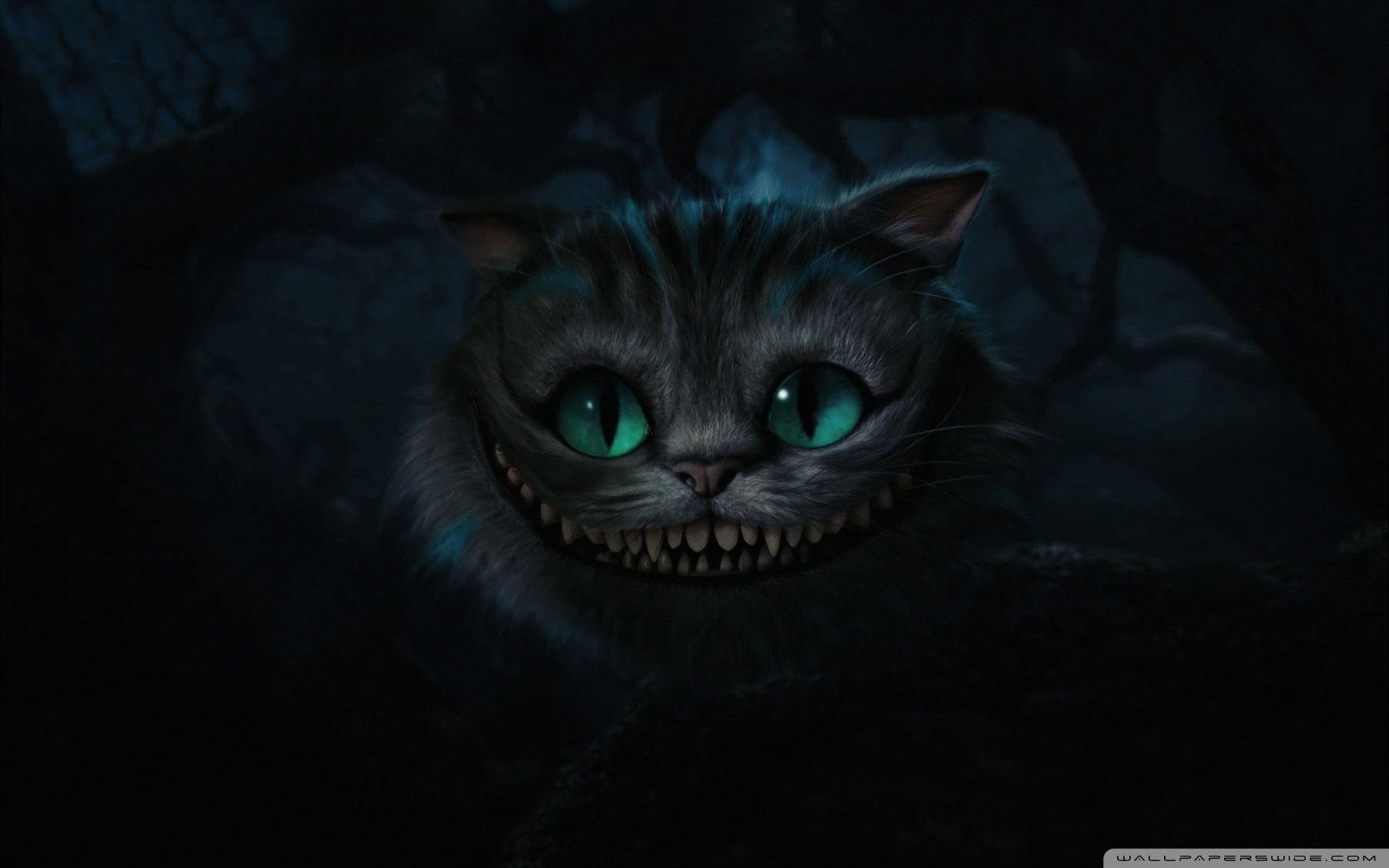 1920x1200 Cheshire Cat, Alice In Wonderland ❤ 4K HD Desktop Wallpaper for 4K