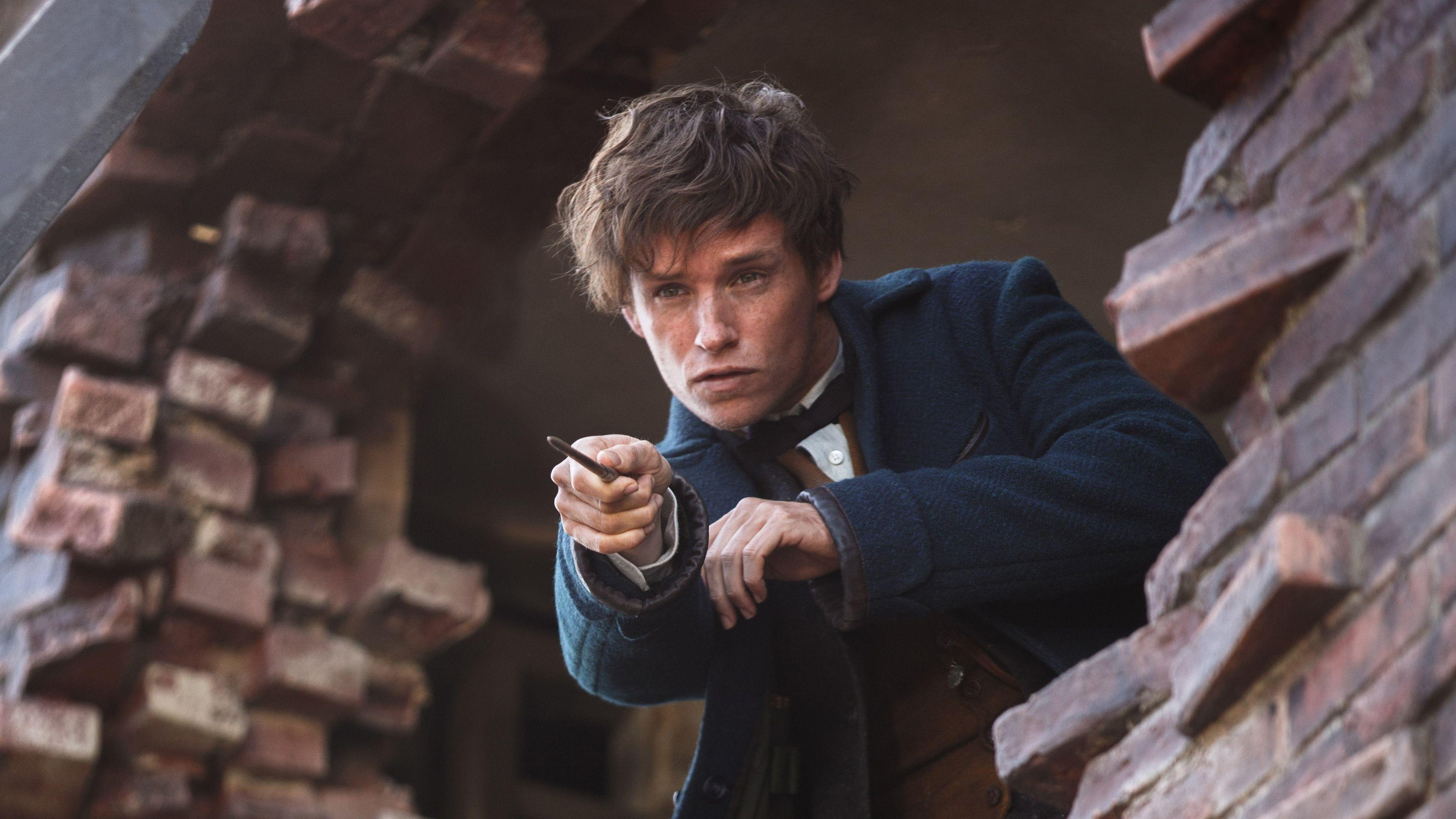 3840x2160 Eddie Redmayne In Fantastic Beasts HD Movies, 4k Wallpaper, Image, Background, Photo and Picture