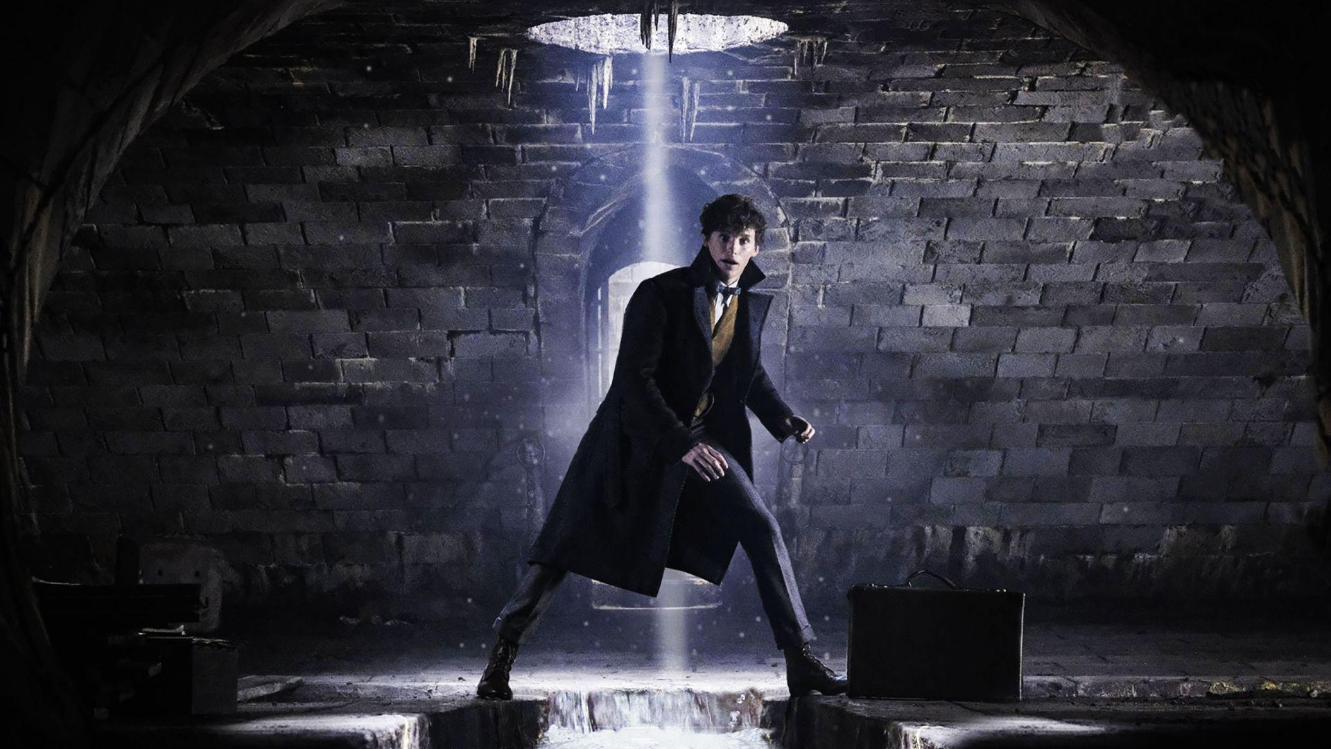 1920x1080 Eddie Redmayne In Fantastic Beasts 1080P Laptop Full HD Wallpaper, HD Movies 4K Wallpaper, Image, Photo and Background
