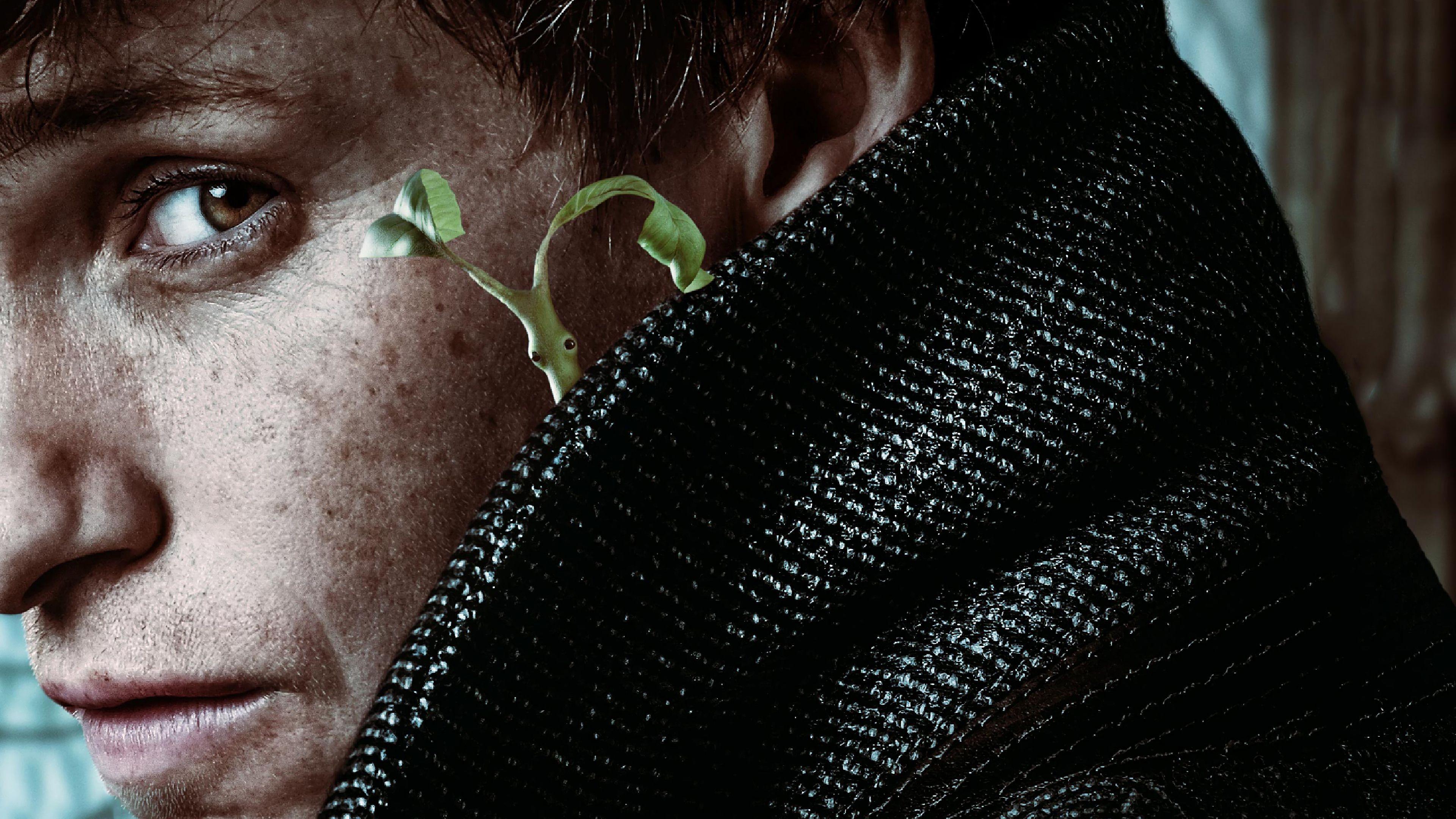 3840x2160 Eddie Redmayne Wallpaper