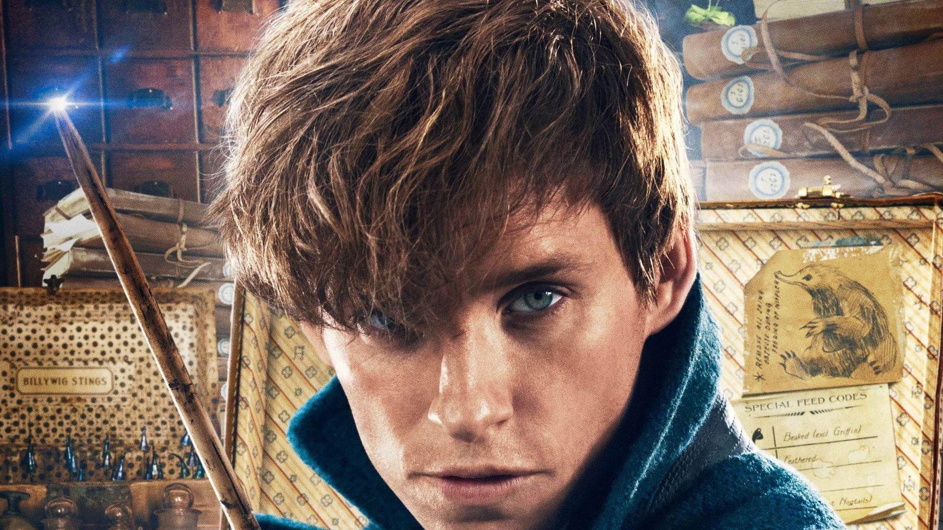1920x1080 Eddie Redmayne as Newt Scamander Wallpaper
