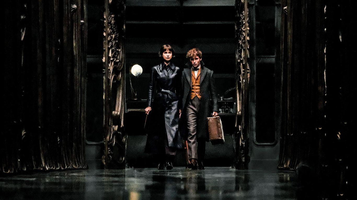 1366x768 Tina Goldstein Eddie Redmayne In Fantastic Beasts The Crimes Of Grindlewald 2018 1366x768 Resolution HD 4k Wallpaper, Image, Background, Photo and Picture