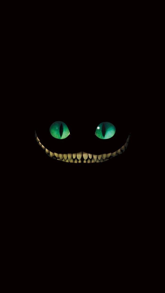 700x1244 Gato. Fondo de pantalla. FONDOS iPhone